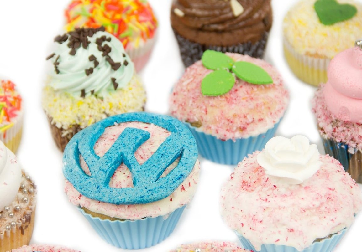 wordpress code editor