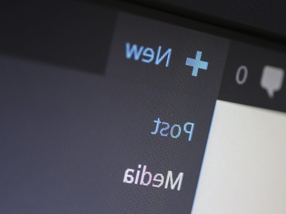 wordpress code editor